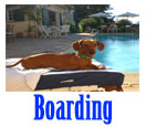 btn-boarding